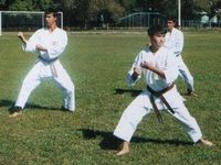 Спорт Энгельсского муниципального района
